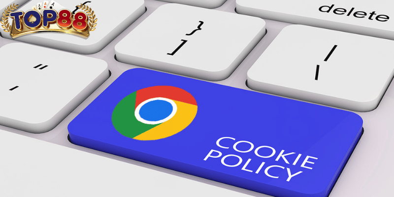 Bạn có toàn quyền kiểm soát cookies trên trình duyệt