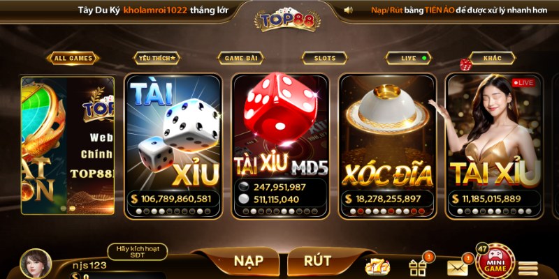 Giới thiệu vài nét về TOP88
